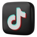 TikTok Icon